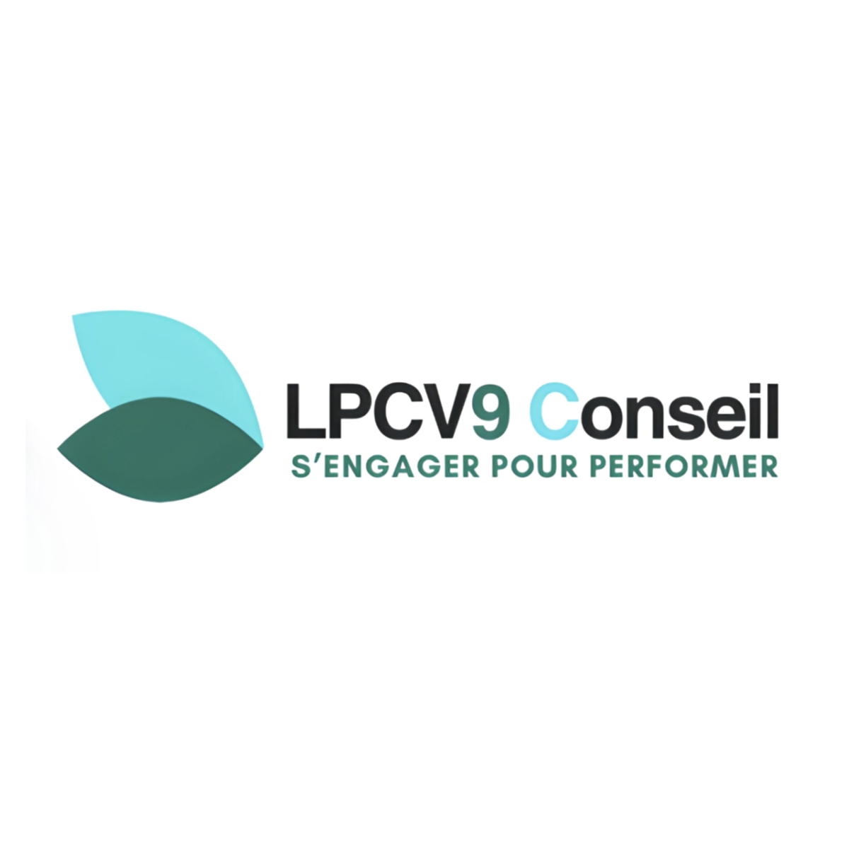 LPCV 9 CONSEIL